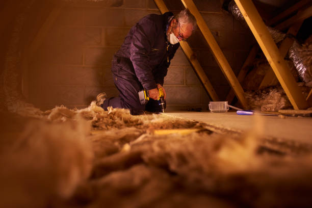 Best Attic Insulation Installation  in Berkshire Lakes, FL